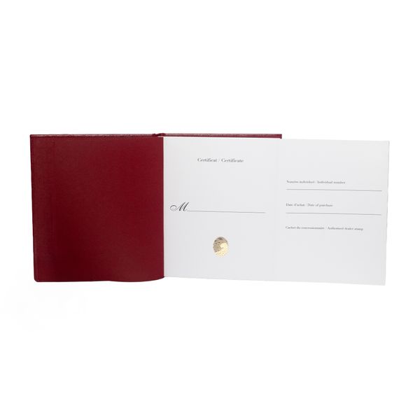 Cartier Santos De Cartier WHSA0019